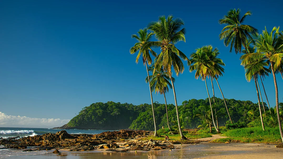 Surf Travel Talk Brasilien - Caliente Special 04.07.2025