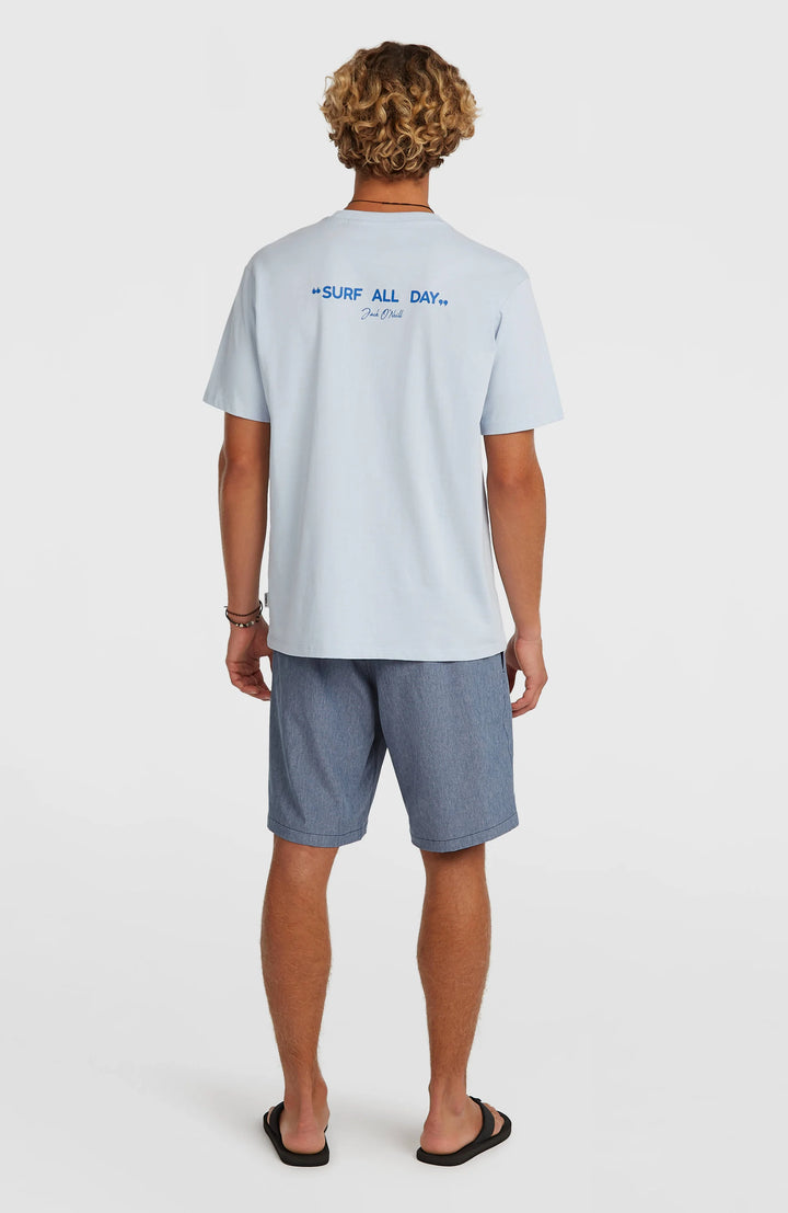 O'Neill Herren Hybridshort Melange 19" - English Evening