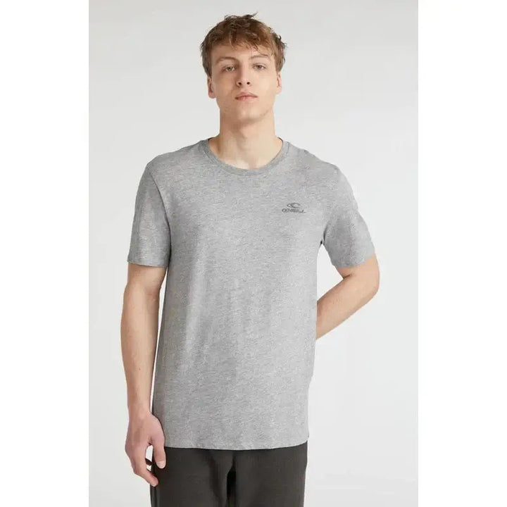O'Neill Herren T-Shirt Small Logo - silver melee