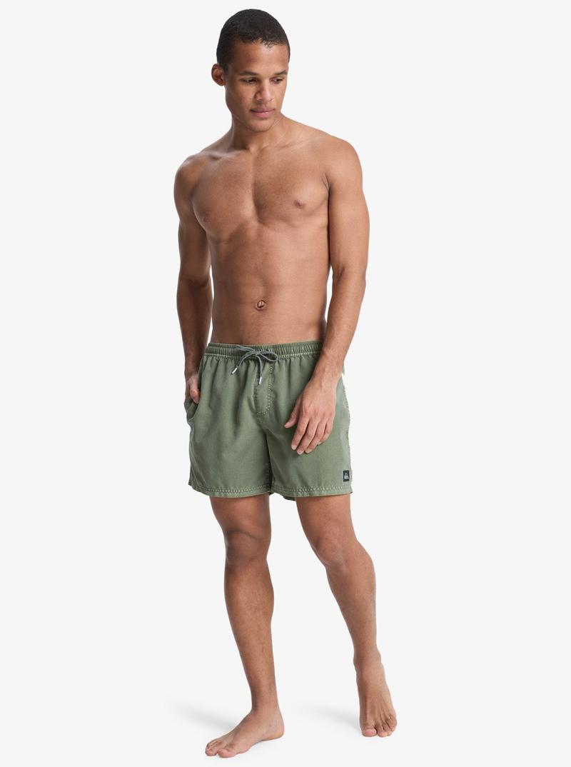 Quiksilver Herren Badehosen Everyday Surfwash Volley 15"