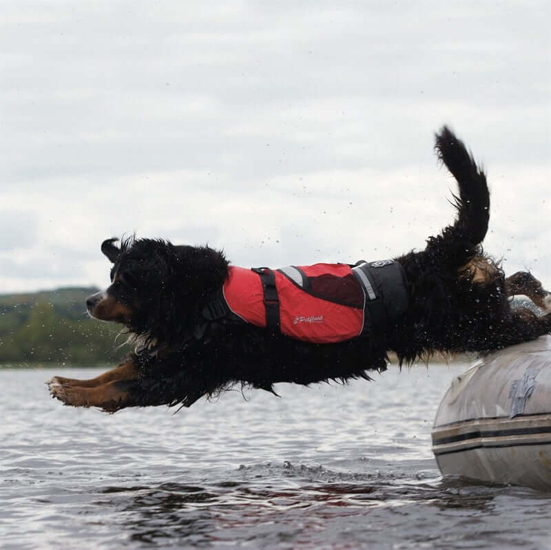 Crewsaver Pet Float (Hundeschwimmweste) - schwarz/rot