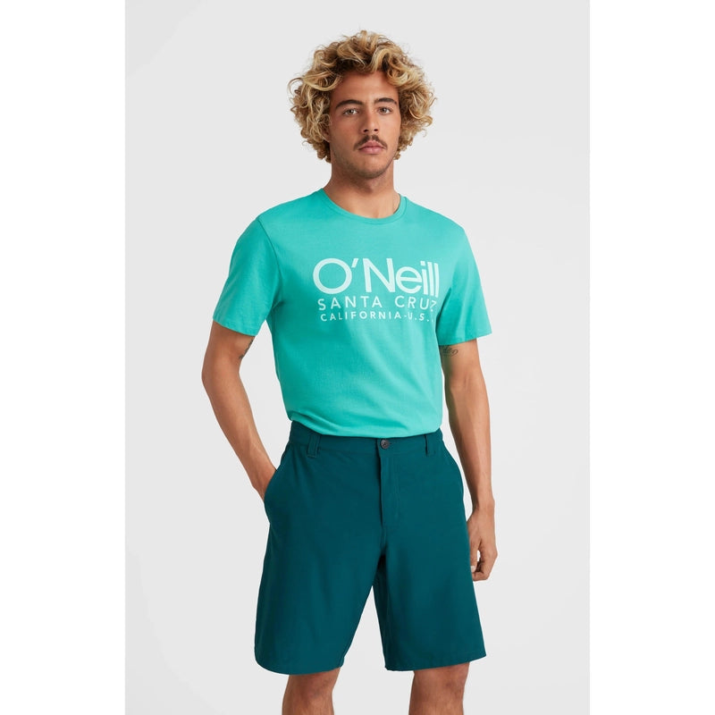 O'Neill Hybrid Chino Shorts - deep teal