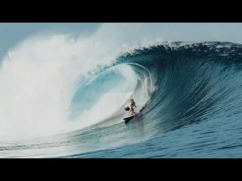 Hayden Shapes Hypto Krypto 5'8" Future Flex (FCS2)